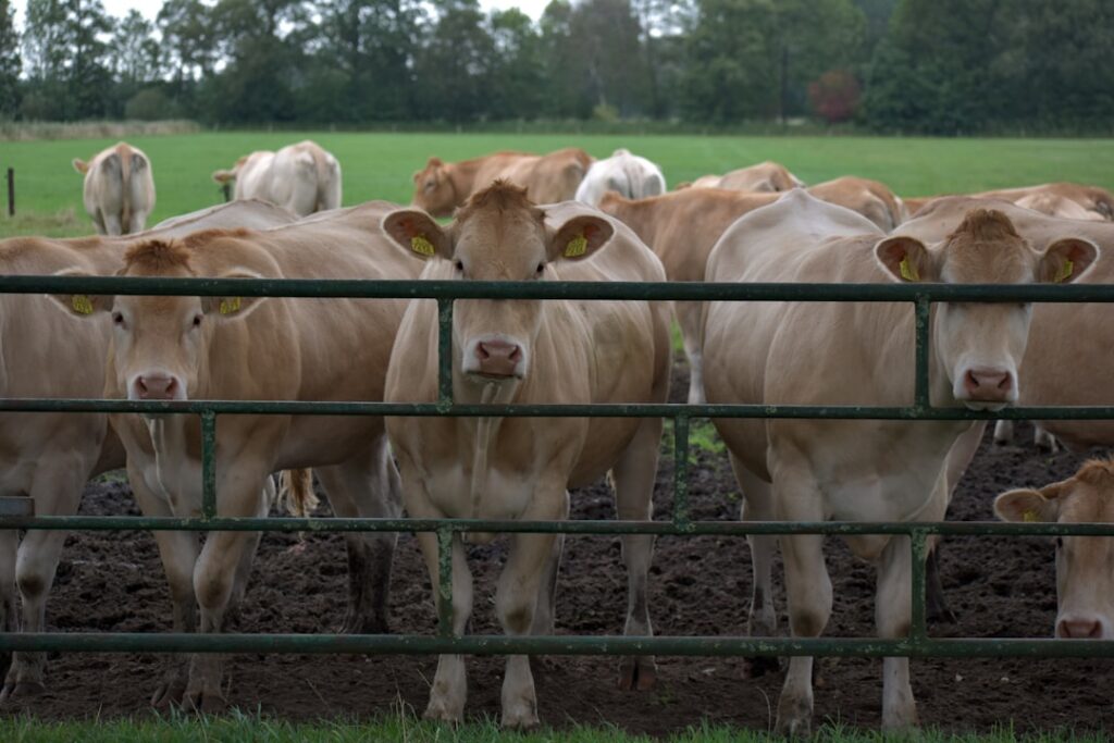 Hoeveel rente betaal je over een hypotheek? Dit zijn de kosten